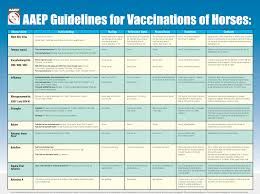 Aaep Vaccination Guidelines Chart