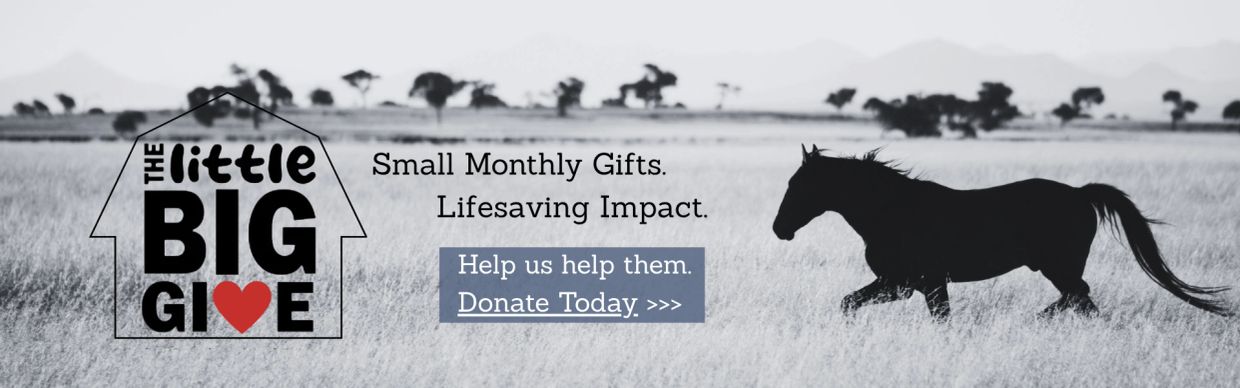 Donation appeal with a horse silhouette and text for small monthly gifts.