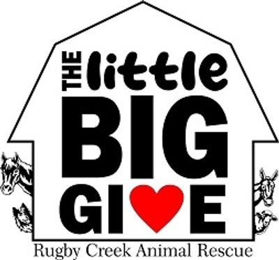 Logo for the Little Big Give