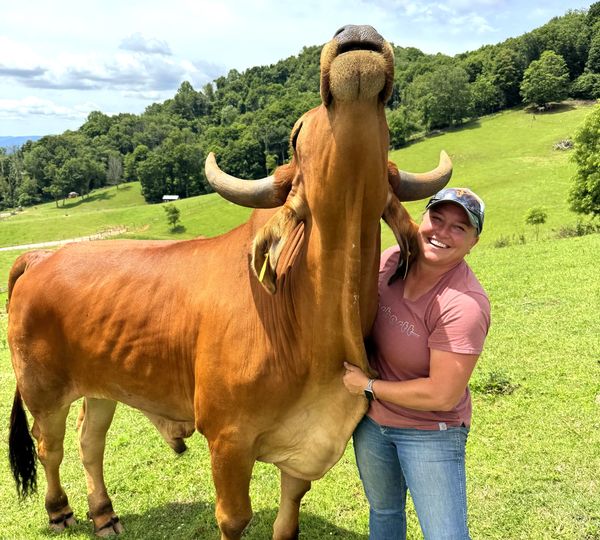 The Animals of Rugby Creek Animal Rescue