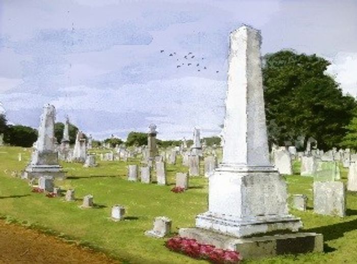 image7