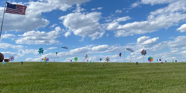 Blooming Pinwheel Garden
