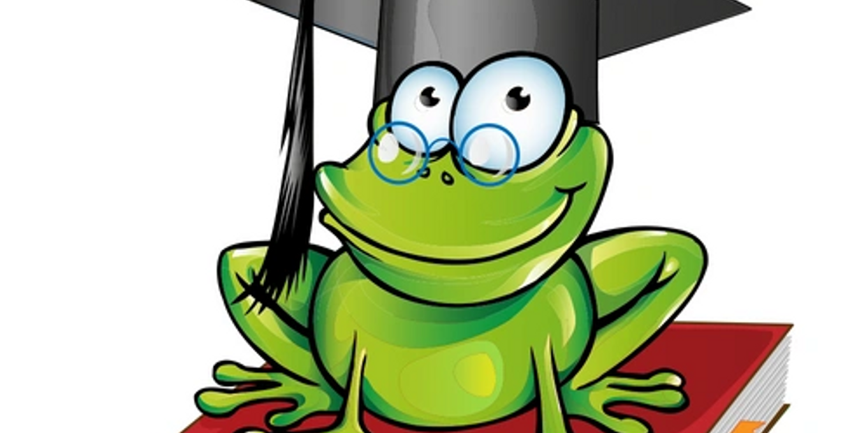 Toadily Divine  Acadmey