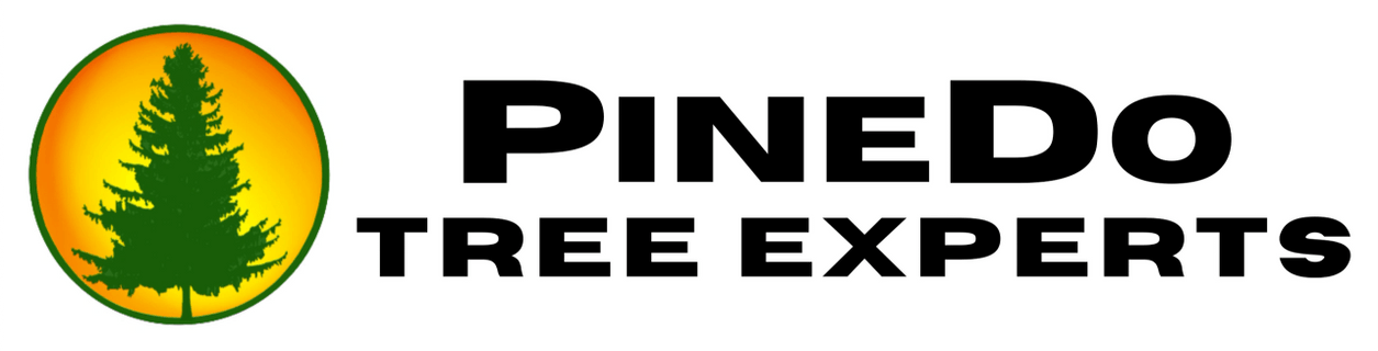 PineDo Tree Experts