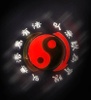Combat Dynamics International martial ARts Association