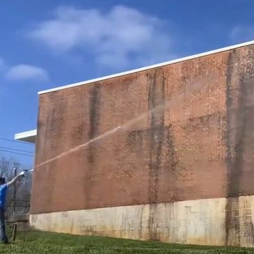 Washing a brick facade with severe organic growth.