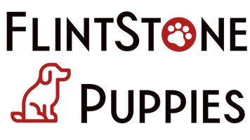 FlintStone Puppies