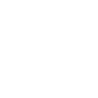 The Agency Group LLC