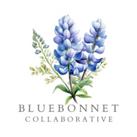 Bluebonnet Collaborative