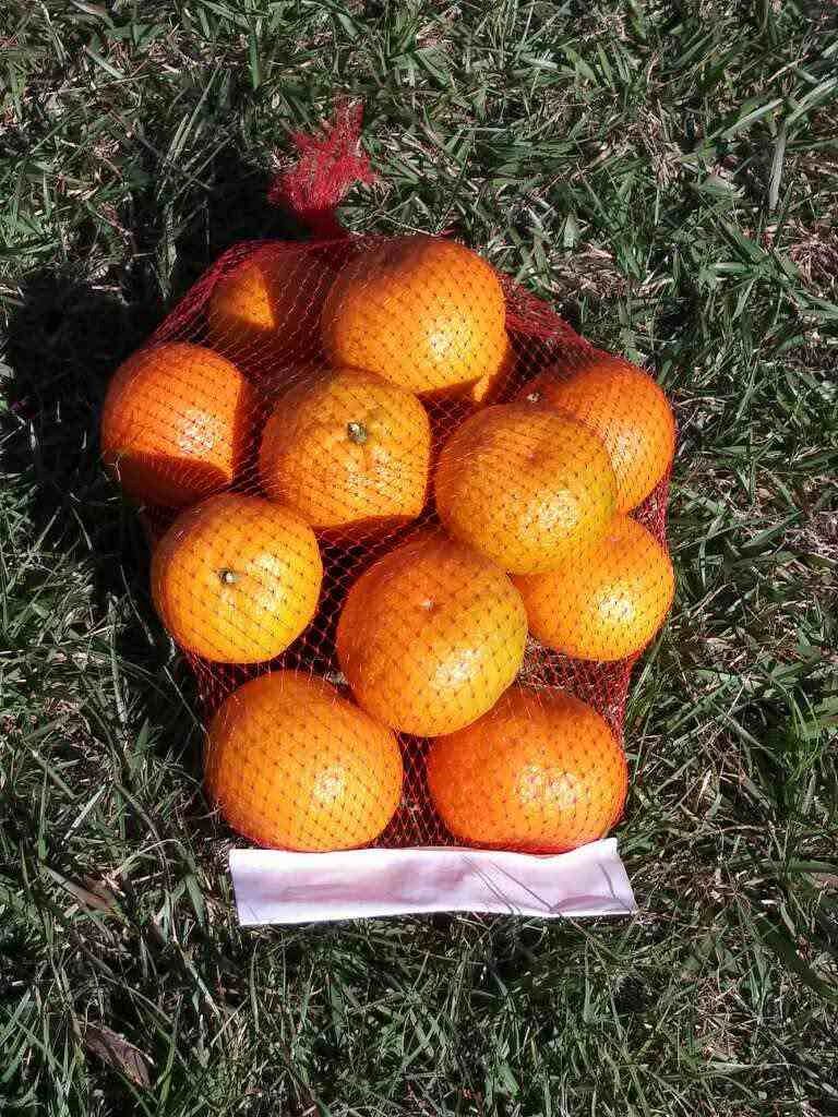 SOLD OUT 5 lbs Satsuma Oranges