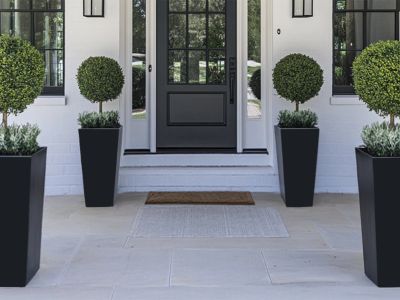 Elegant front porch with black door and symmetrical potted topiary plants.
