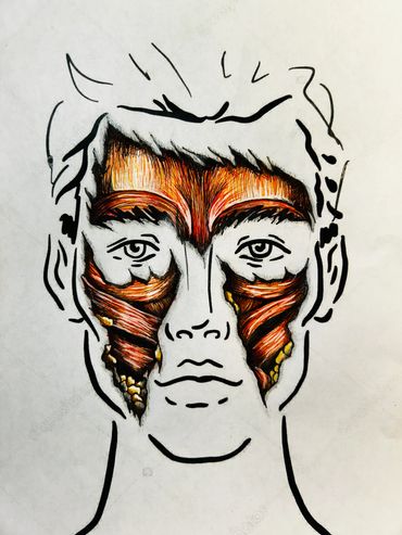 A photo of a makeup face chart that has been drawn on to look like pieces of the face are missing