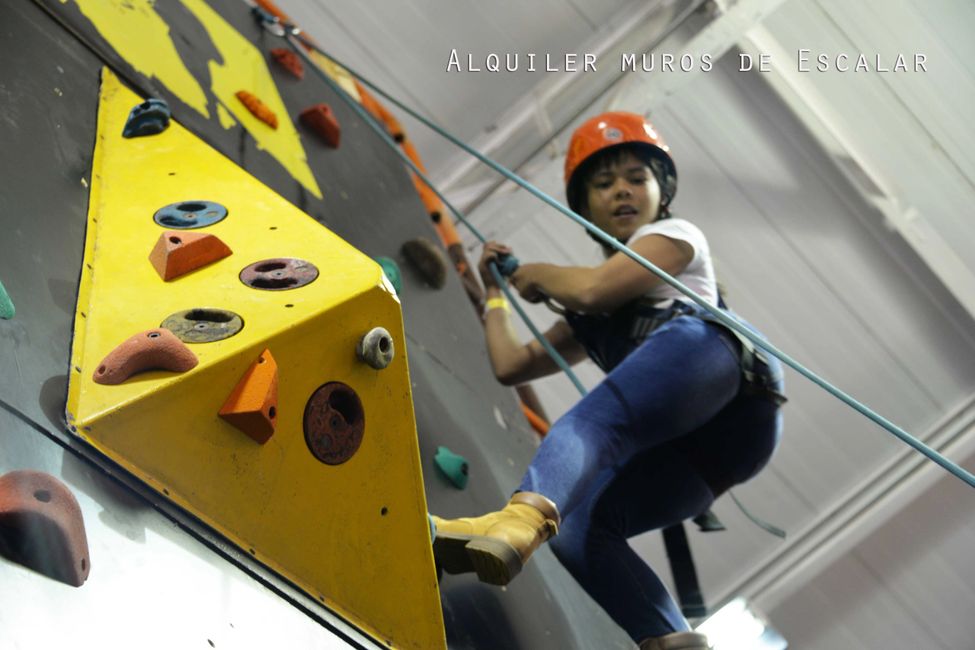 Muros De Escalada, Alquiler, Venta - Aventureros Colombia | Aventureros