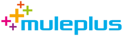 Muleplus IT