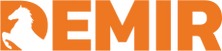 Demir LLC