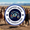 Stampede Consulting