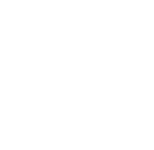 The Friendly Vet