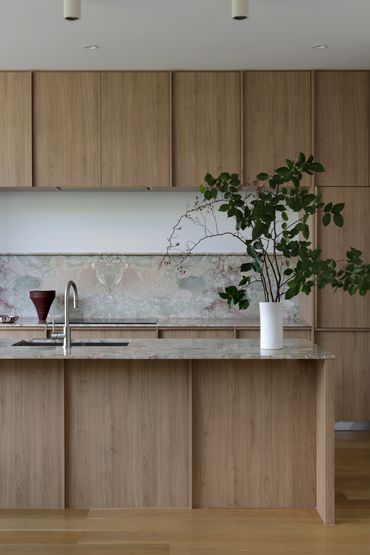 Modern kitchen with wood cabinets and a leafy plant centerpiece.