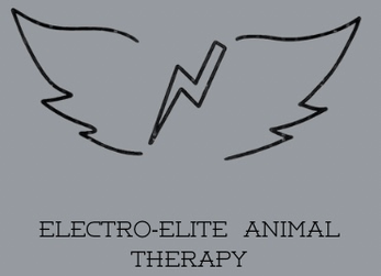 Electro-Elite Animal Therapy