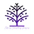 Elkins Counseling Services, LLC