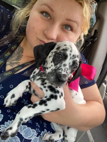 holding a Dalmatian puppy