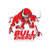 BULL ENERGY 