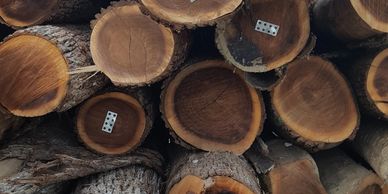 Stacked logs with domino pieces on the cut ends.