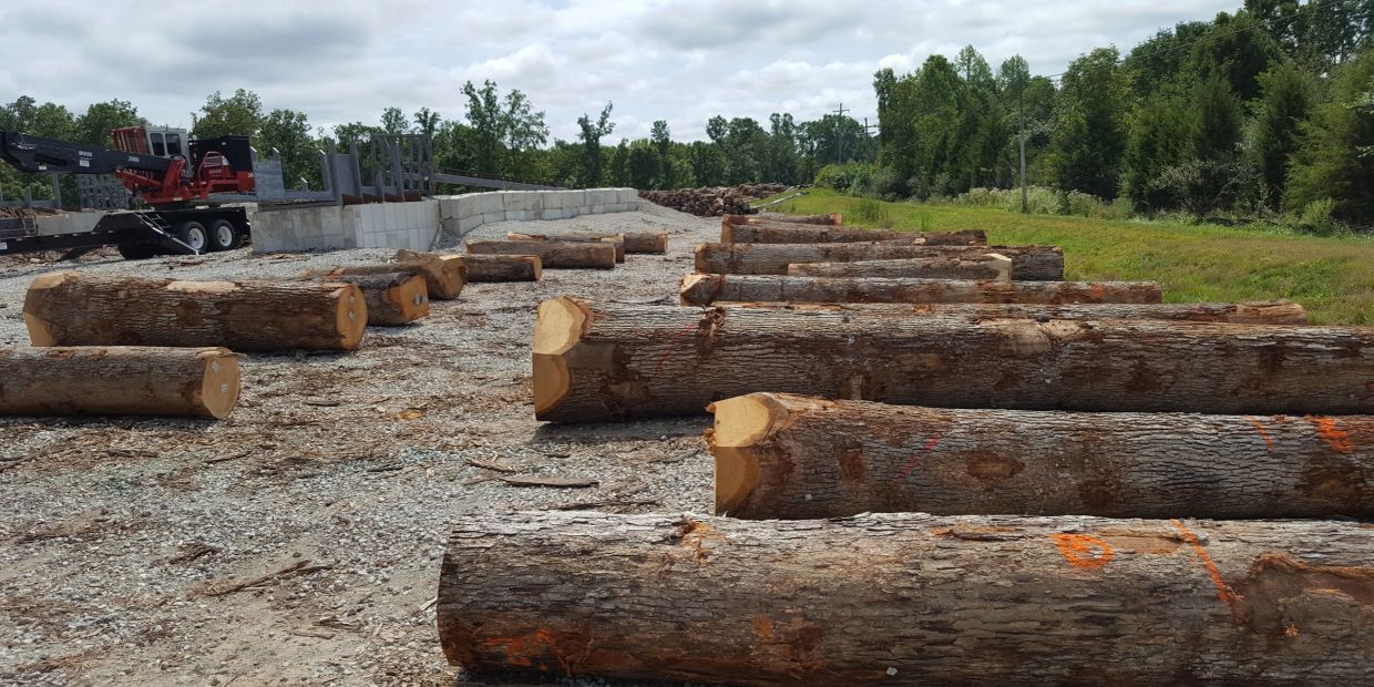 Logs neatly arranged on a gravel lot near a forest.