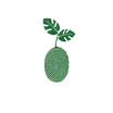 Velvet Leaf