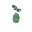 Velvet Leaf