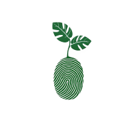 Velvet Leaf
