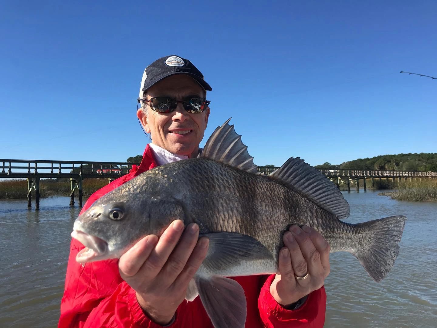 Black drum caught on a inshore fishing charter