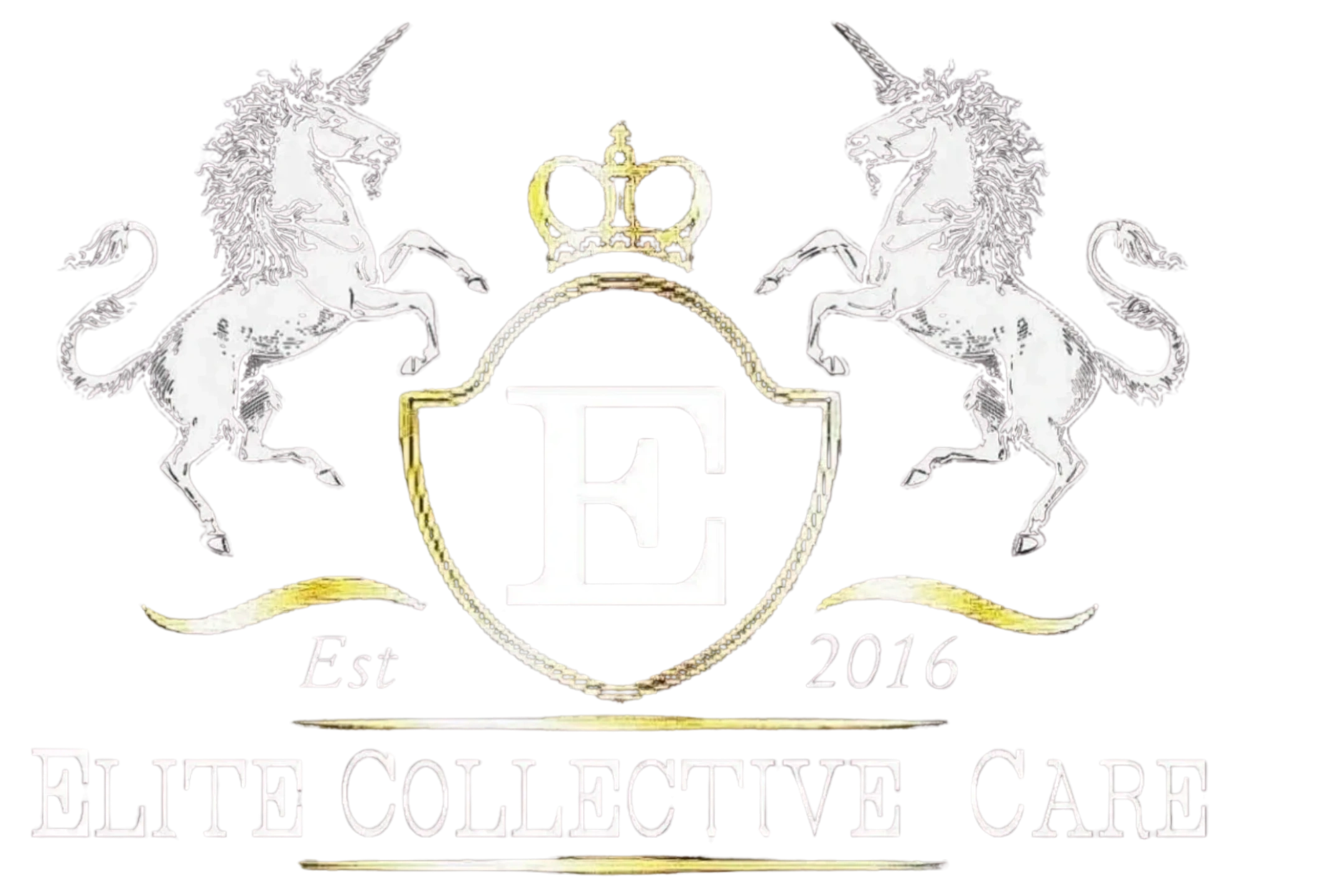 Sponsored residential elite collective care