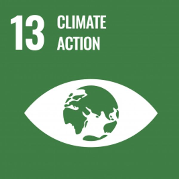 Sustainable Development Goals 13 (SDG13): Climate Action
