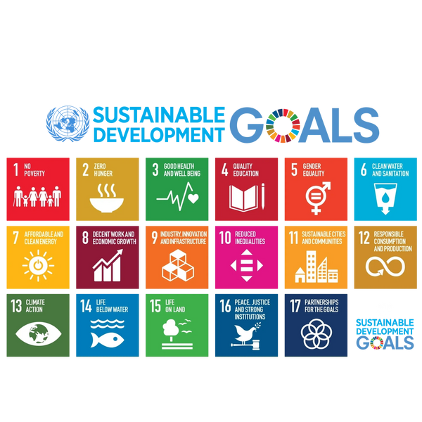 Sustainable Development Goals (SDGs)