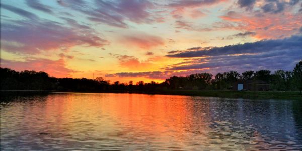 Vibrant sunset over a calm lake with silhouetted trees.