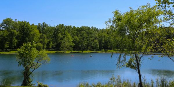Peaceful lake surrounded by trees on a clear day.