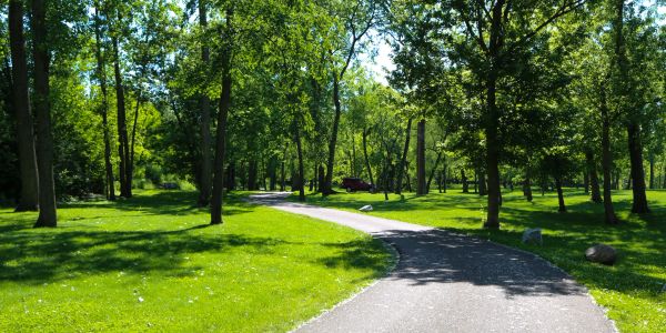Paved path winding through a green park with trees.