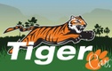 Tiger cars Gosport