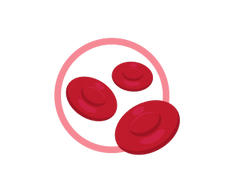 Kareema's Mobile Blood Drawing