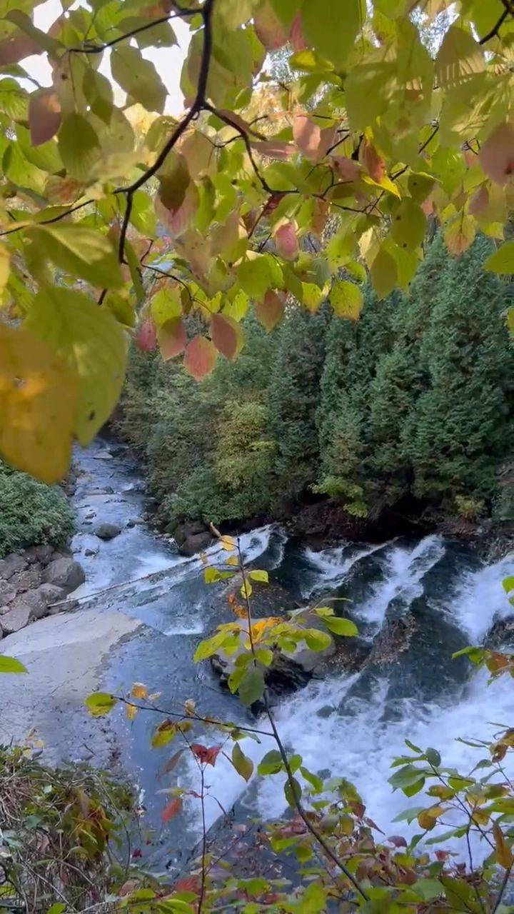 https://img1.wsimg.com/isteam/ip/8da67686-54e2-4c25-b53d-5f91322d5326/thumbnails/thumbnail-e1f4601f-881a-48d3-9ff4-b1b5970d4d10.png