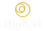 DIGITAL CELESTIAL TRADE TECH PRIVATE LIMITED 