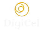 DIGITAL CELESTIAL TRADE TECH PRIVATE LIMITED 