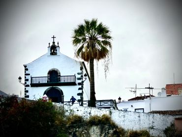 A white church with a bell tower and a tall palm tree beside it.