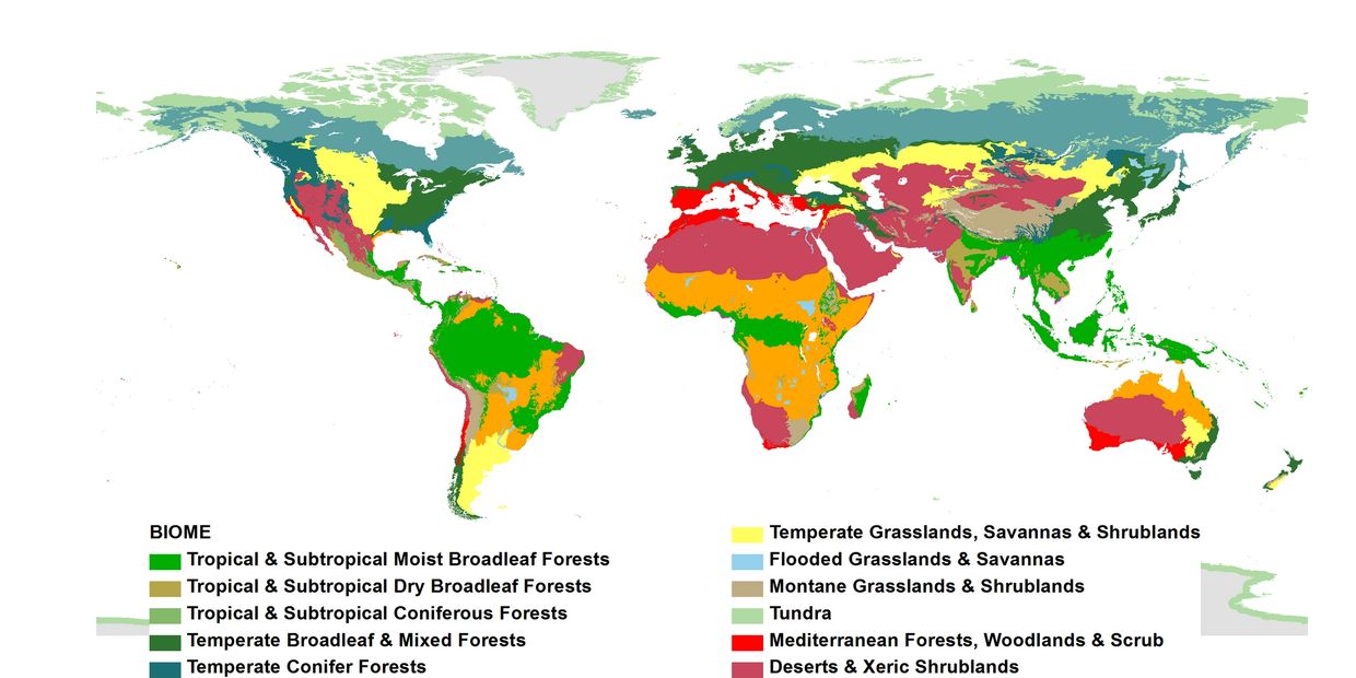 Biome | Natures Navigation