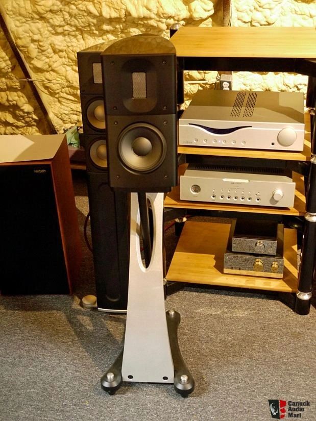 raidho speakers for sale