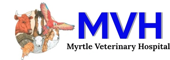 Myrtle Veterinary Hospital