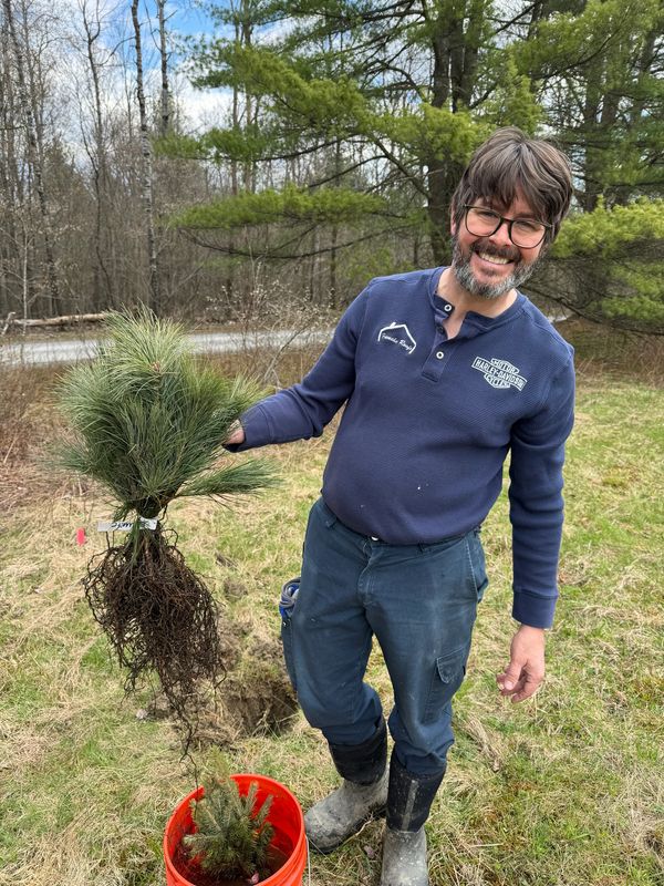 Man holding a tree seedling with roots exposed in a grassy area.