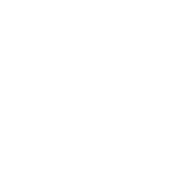 Electric Garage