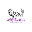 HVKBullies